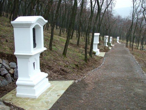 Tavaszi k�p 1.