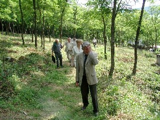 A tervezett �tvonal az erdei szakaszon