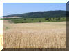 B�zamez� a Hausacker-en, h�tt�rben a Teich-i sz�l�k